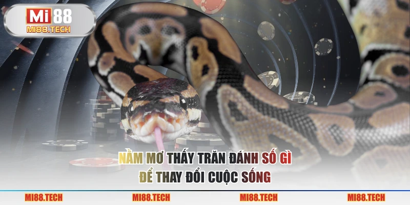 Nằm mơ thấy trăn đánh số gì để thay đổi cuộc sống