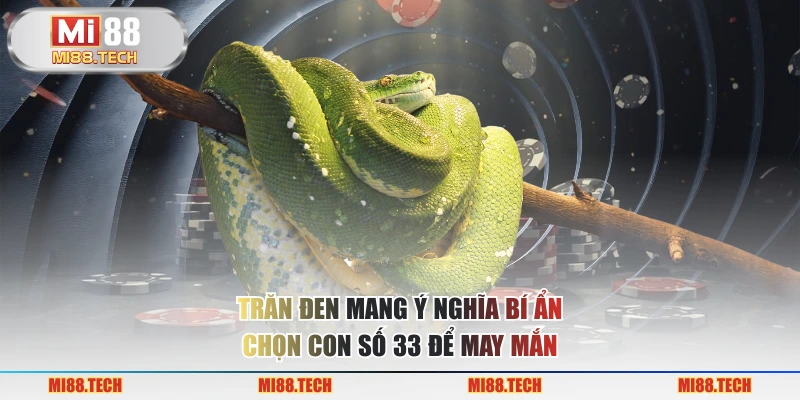 Trăn đen mang ý nghĩa bí ẩn chọn con số 33 để may mắn