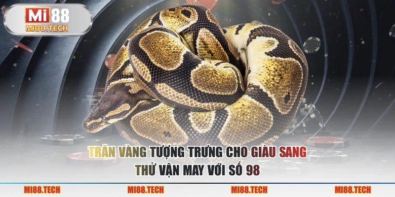 Trăn vàng tượng trưng cho giàu sang thử vận may với số 98
