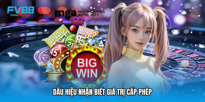 Dấu hiệu nhận biết giá trị cấp phép